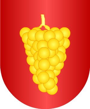 ESCUDO ALEATORIO